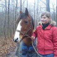 Anden særlig race Rikke *SOLGT* savn.