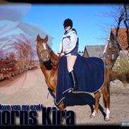 Anden særlig race Ahorns kira <3 *SOLGT*