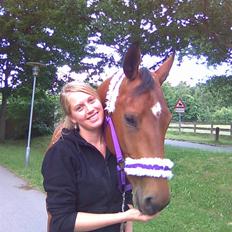 Dansk Varmblod Poppelgårdens Matrix