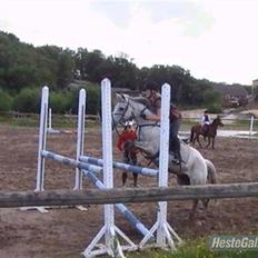 Anden særlig race Jack (gammel part)