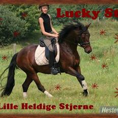 Anden særlig race lucky star