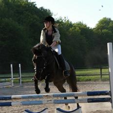 Anden særlig race Trinity C 