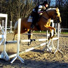 Anden særlig race                     Rain 