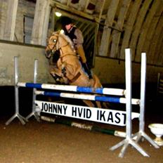 Anden særlig race                     Rain 