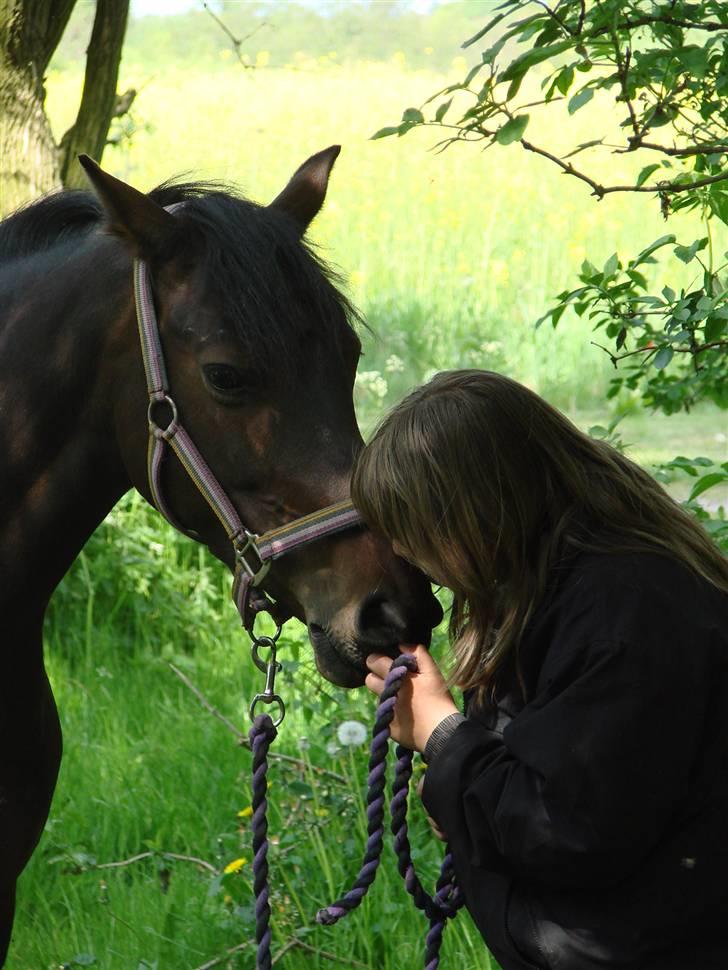 Anden særlig race Monty <3  - "hvad laver du ?" ser Monty ud til tænke :) <3 ....-Fotograf * Camilla Thomsen billede 17