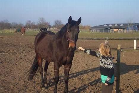 Traver Ginger magnum *'solgt** - hej mia  vil du lukke op så jeg kan komme ind billede 9