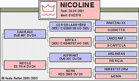 Dansk Varmblod Nicoline - superpigens stamtavle billede 17