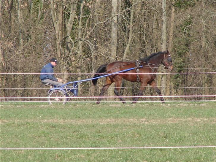 Traver Orlov Pacific Ocean  *solgt* - 1 mdr´s træning. 2009 billede 18