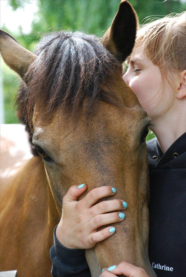 Anden særlig race Splint - Hej og velkommen til Splints profil billede 1