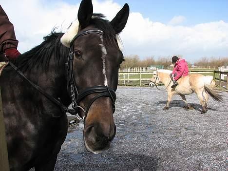 Anden særlig race R.I.P. Diego - Diego med sit fine Kiefer Katharina  billede 10