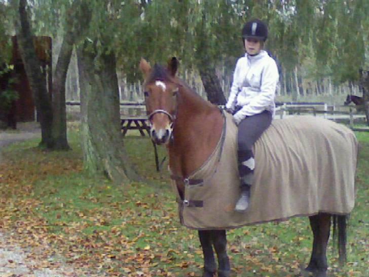Anden særlig race Pondus (gamle part) - Undskyld kvaliteten. Men det var vores sidste dag sammen <33 Åh - hvor jeg savner den stædige dreng , <3 billede 2