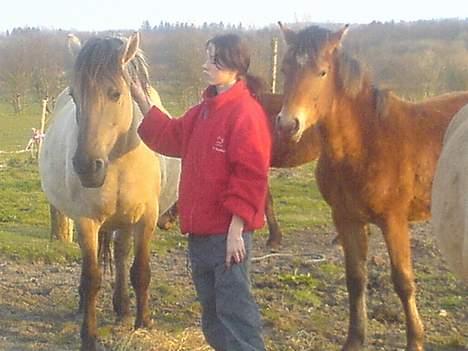 Anden særlig race Charlie FUNDET:) - Mille(Charlie´s mor) min lillesøster og Charlie. billede 6
