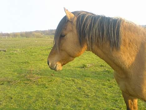 Anden særlig race Max FUNDET:) - wow lækre damer i farevandet.. billede 3