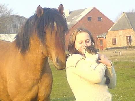 Anden særlig race Max FUNDET:) - kan du spiset? billede 5