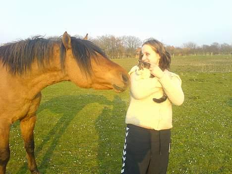 Anden særlig race Max FUNDET:) - hey fætter hvad er du for en fidus?? billede 6