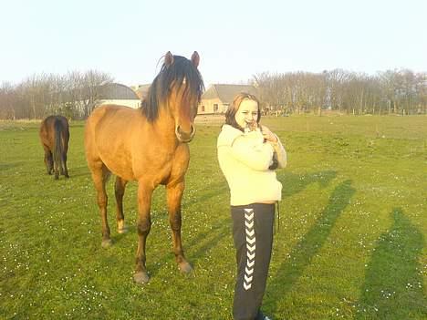 Anden særlig race Max FUNDET:) - vi er et godt team.. billede 7