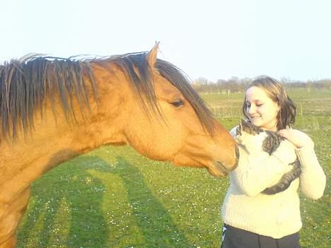 Anden særlig race Max FUNDET:) - jeg synes ikke du lugter ligesom mig. billede 8