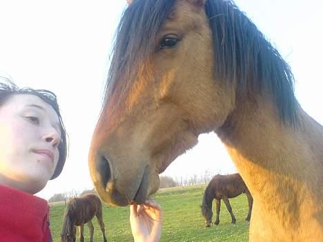 Anden særlig race Max FUNDET:) - se,ser hun ikke dum ud?? billede 9