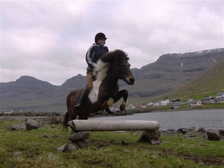 Færøsk hest Blanka [Haft i pleje] - Mig og Blanka springer igen :D | 26-05-2008 billede 12