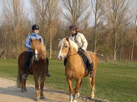 Haflinger Resi Kastanjegård - Annica på Paplo( Blesi ) && mig på Resi billede 12