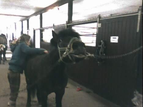 Anden særlig race *Wendy*   - Det er dejligt at blive kløet XD billede 10