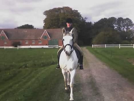 Anden særlig race Cisco - Cisco og min bedste veninde Maiken.. billede 7