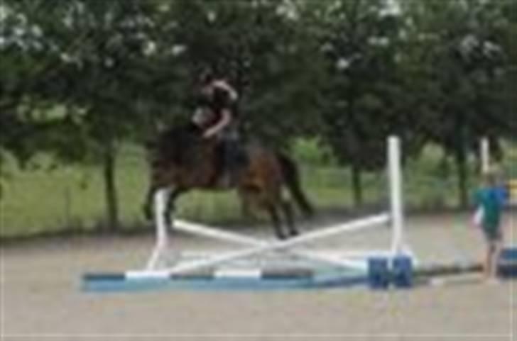 DSP Gloria Søblink - Plasticvandgrav :) billede 10