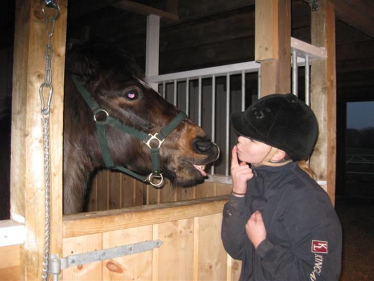 Anden særlig race Cherie * mit alt :'(* - jeg elsker dig ufattteligt højt :´D <3  du er savnet mere endalle tror :´( jeg savner dig så inderligt, jeg savner alt ved dig ;´s selv din stædighed <3 DU ER MIN FORALTID I MIT HJERTE :´( <3  billede 1
