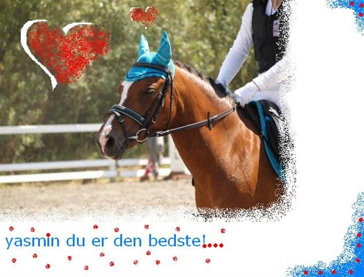 DSP *Yasmin* Solgt :`( - 6 ^^^^^^ billede 6