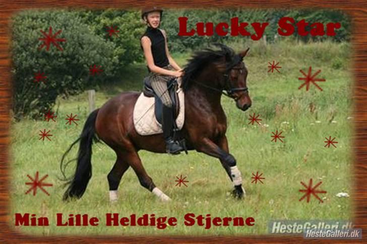 Anden særlig race lucky star - :) billede 3