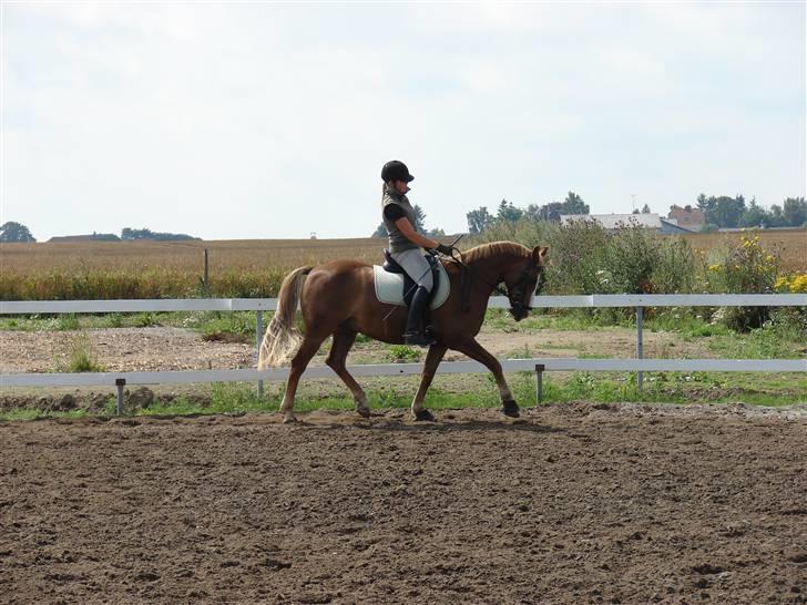 DSP format R.I.P - format sommer 2009:D billede 11