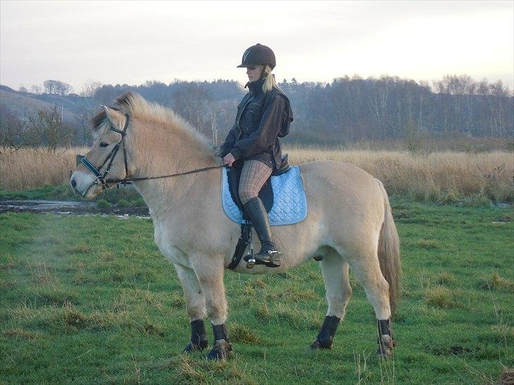 Anden særlig race Buller R.I.P - Velkommen til Buller´s profil <3  billede 1