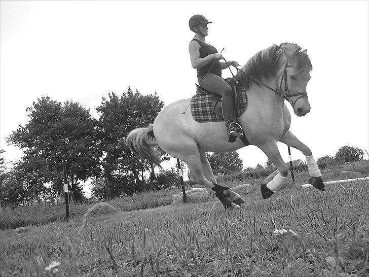 Anden særlig race Buller R.I.P - buller og jeg dressur: 2010 billede 5