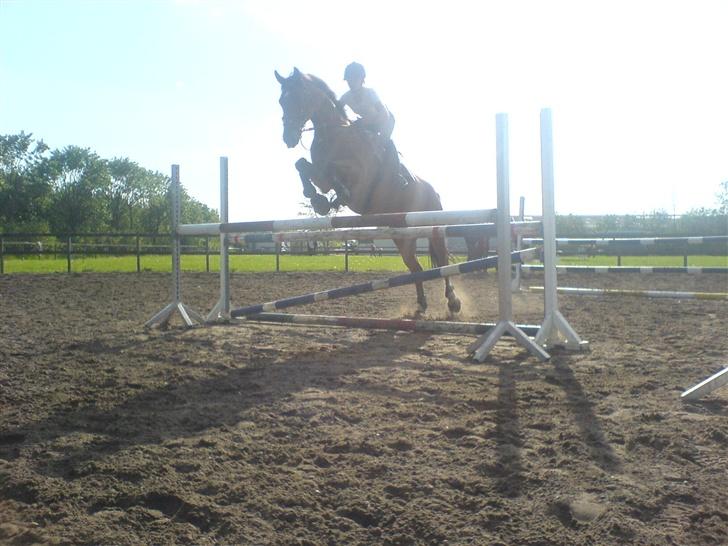 Dansk Varmblod Excalibur Fight(Calle)død - Calle og mig til træning.. HAn kan springe helt vildt.. Elsker sgu den hest..  billede 6