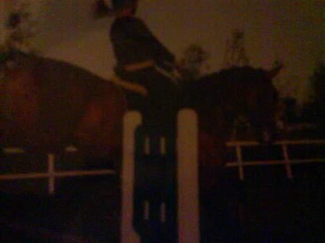 Dansk Varmblod Excalibur Fight(Calle)død - Første gang jeg var oppe at prøve ham.. Lidt svært at springe fra hest til pony :P billede 7