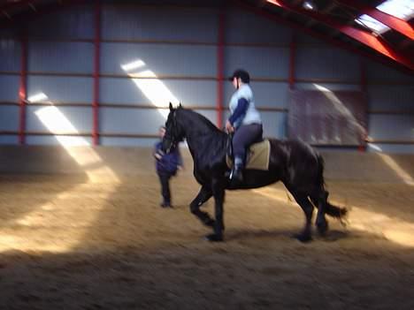 Frieser Shadow - jeg traver alene på shadow billede 13