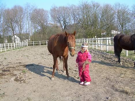 Traver Stormy - Maria og Stormy taget af Diana lørdag ugen før PÅSKEN 07 billede 14