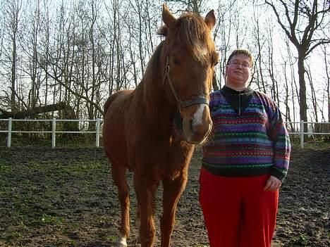 Traver Uriel(R.I.P) - Lille fold ved stalden som Maria min datter tog stolt af den store fotografli billede 10