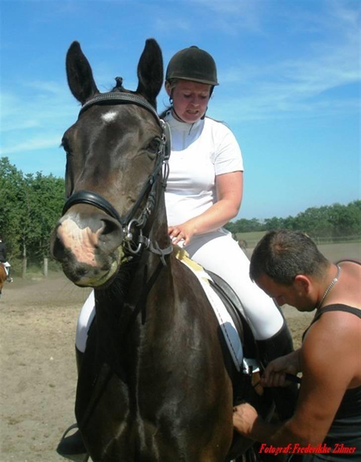 Trakehner Lazio - Stævne d. 9. juni 2007 billede 12