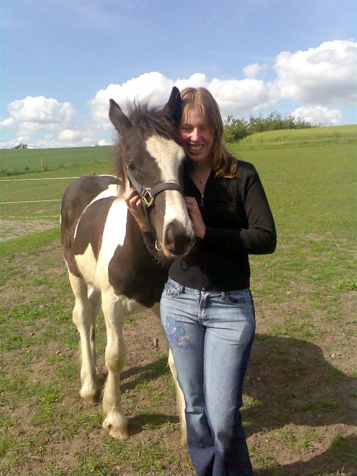 Irish Cob <3 Kaipo <3  - # 20. Det er så mig og min smukke dreng:)  Taget d. 26/5-07 billede 20
