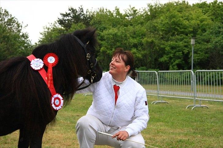 Shetlænder Pamela v.d Englenhof - Foto : Ida Hjortholm billede 8