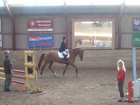 Dansk Varmblod Cathila - På vej ud af banen efter LD.. <3 billede 20