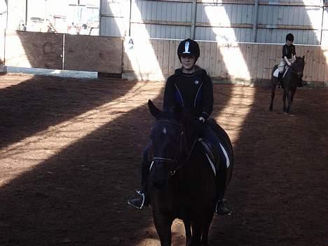 Oldenborg Bertha - D. 2 April 2007. Dejlige hest <3 billede 15