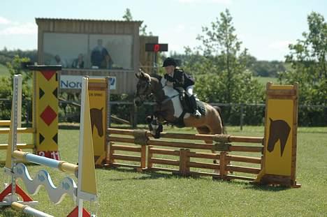 Anden særlig race Painted Pony (død) billede 10