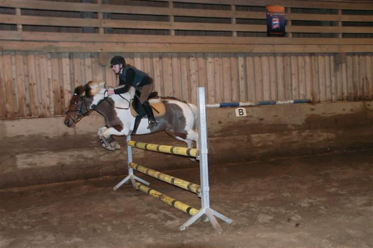 Anden særlig race Mexi <3 Solgt ;( - Springtræning d. 25.3.08 billede 11