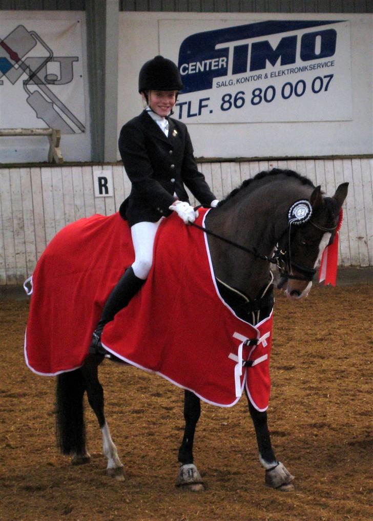 Hollandsk Sportspony Candy  - Distrikt mester 2008 d. 9 november pony hold dressur. Red 66,8% billede 1