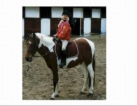 Pinto Tamara  - Mig og tutte i Belgien for 7 år siden... billede 5