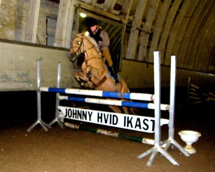 Anden særlig race                     Rain  billede 3