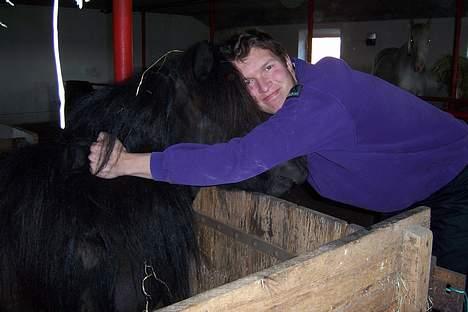 Shetlænder Pamela v.d Englenhof - kærlighed:) billede 10