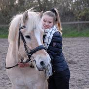 Anden særlig race Tinkerbell